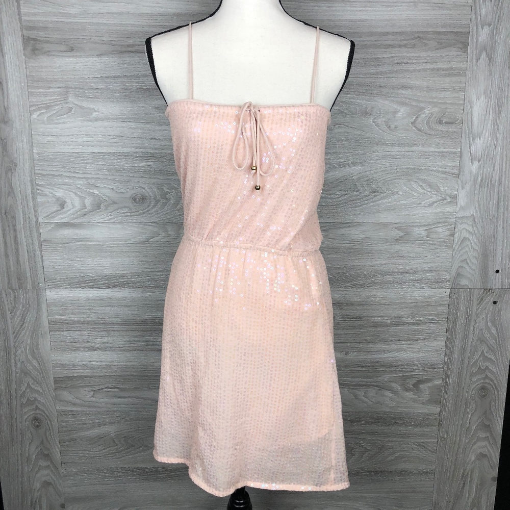 Ludi Blush Sequin Dress Sz S